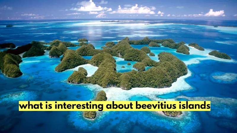 What’s So Interesting About the Beevitius Islands?